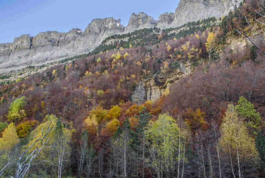 Huesca - parque nacional de Ordesa y Monte Perdido - valle de Ordesa 129.jpg